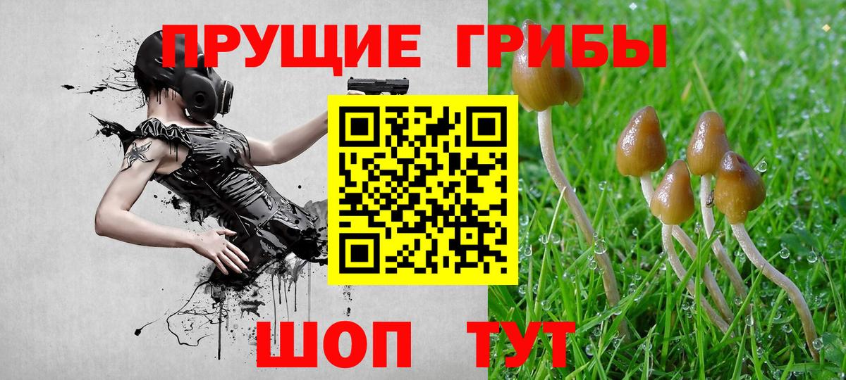 Псилоцибиновые грибы ЛСД  Галлюциногенные грибы Magic Shrooms  Краснокаменск  Вход с VPN 